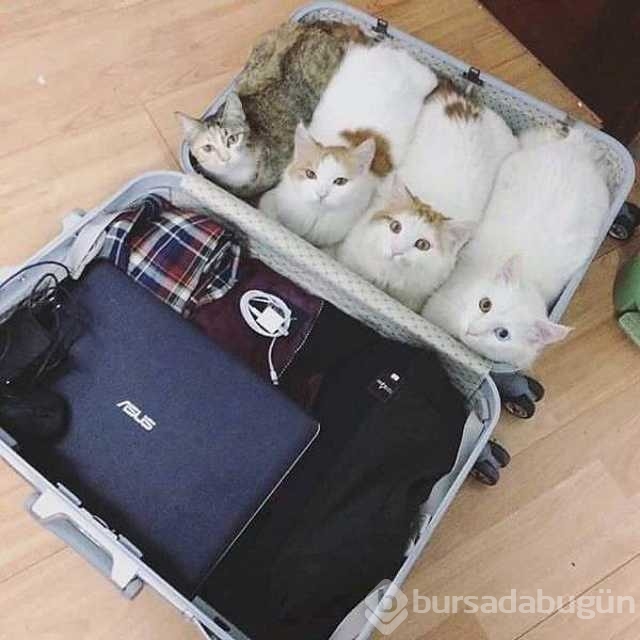 Günün en çok paylaşılan fotoğrafları
