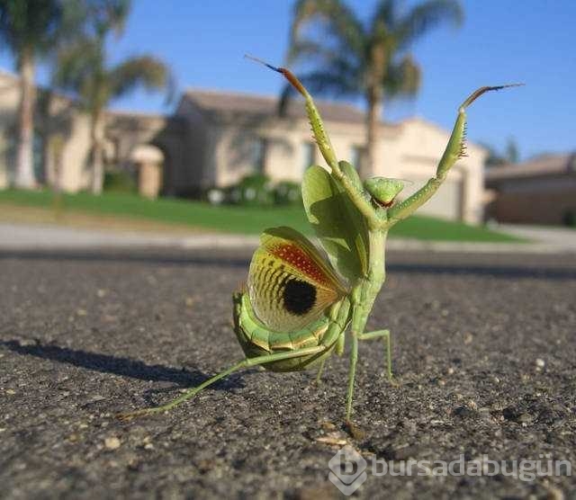 Günün en çok paylaşılan fotoğrafları
