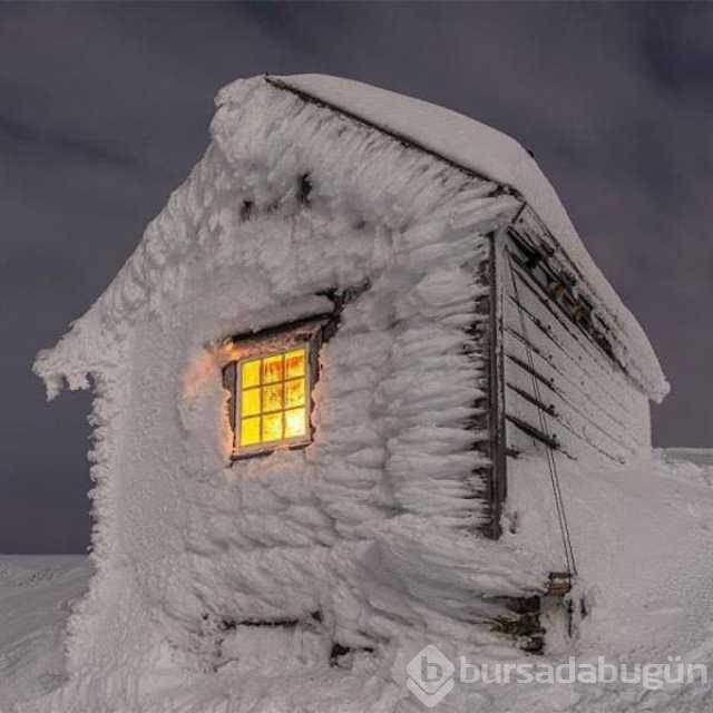 Günün en çok paylaşılan fotoğrafları
