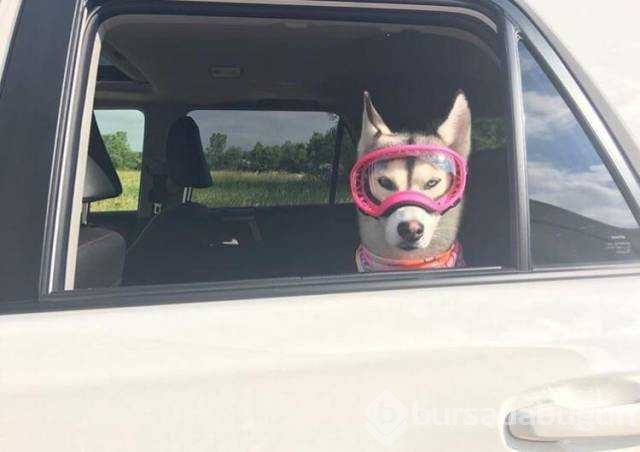 Günün en çok paylaşılan fotoğrafları
