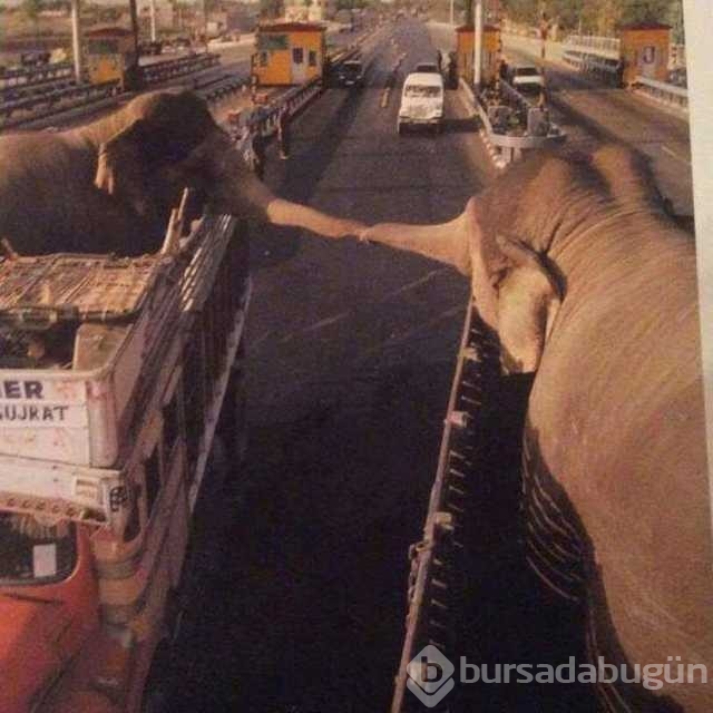 Günün en çok paylaşılan fotoğrafları
