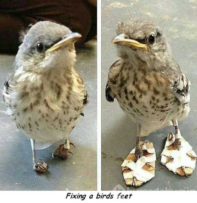 Günün en çok paylaşılan fotoğrafları

