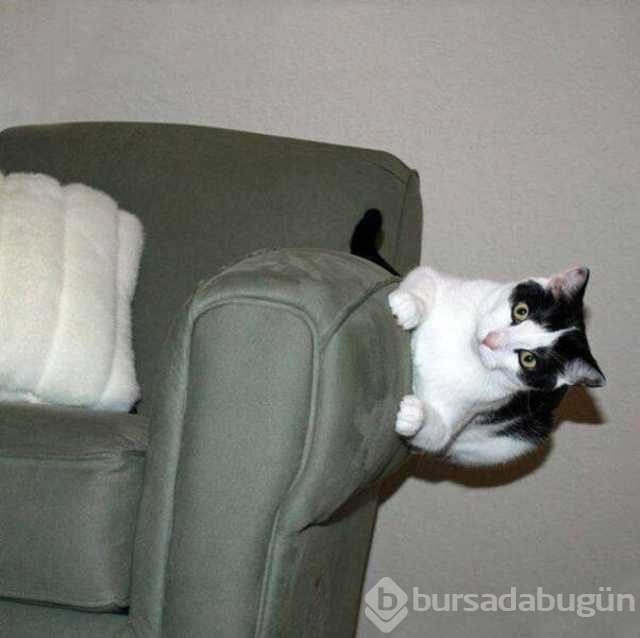 Günün en çok paylaşılan fotoğrafları
