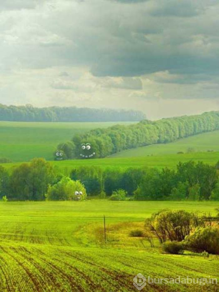Günün en çok paylaşılan fotoğrafları
