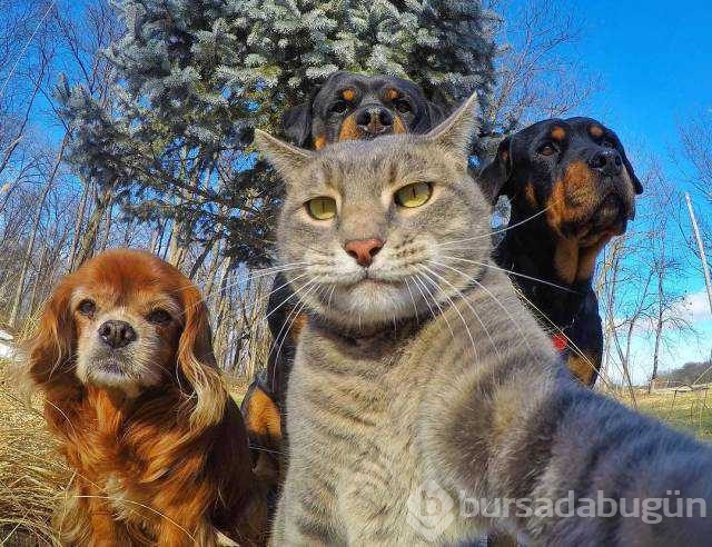 Günün en çok paylaşılan fotoğrafları
