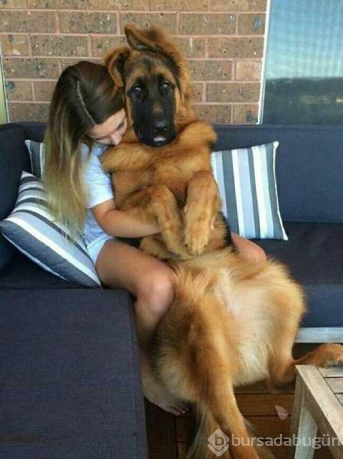 Günün en çok paylaşılan fotoğrafları

