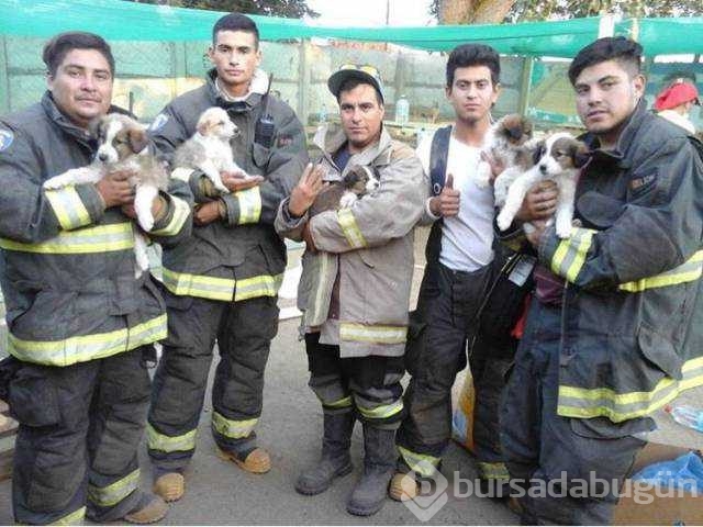 Günün en çok paylaşılan fotoğrafları
