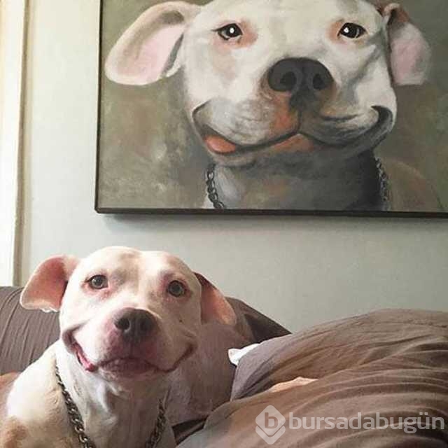 Günün en çok paylaşılan fotoğrafları
