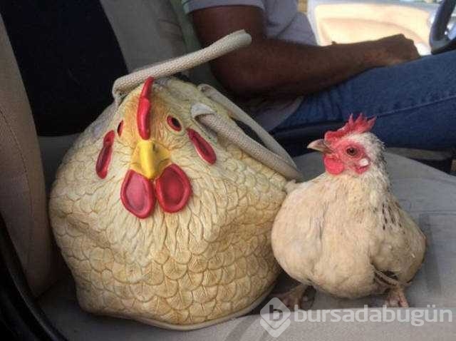 Günün en çok paylaşılan fotoğrafları
