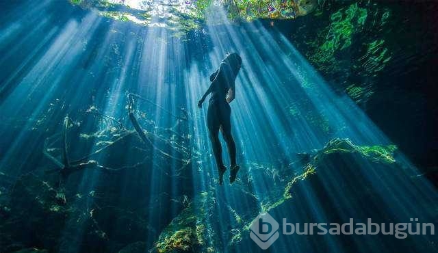 Günün en çok paylaşılan fotoğrafları
