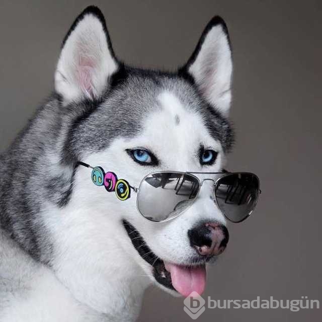 Günün en çok paylaşılan fotoğrafları
