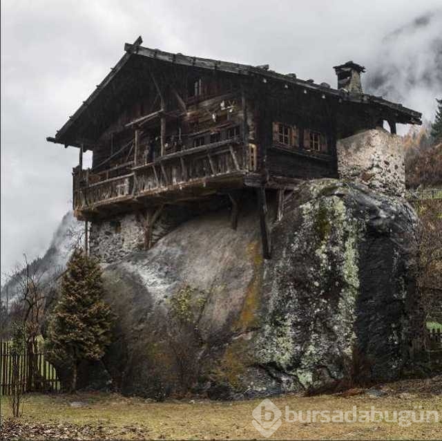 Günün en çok paylaşılan fotoğrafları
