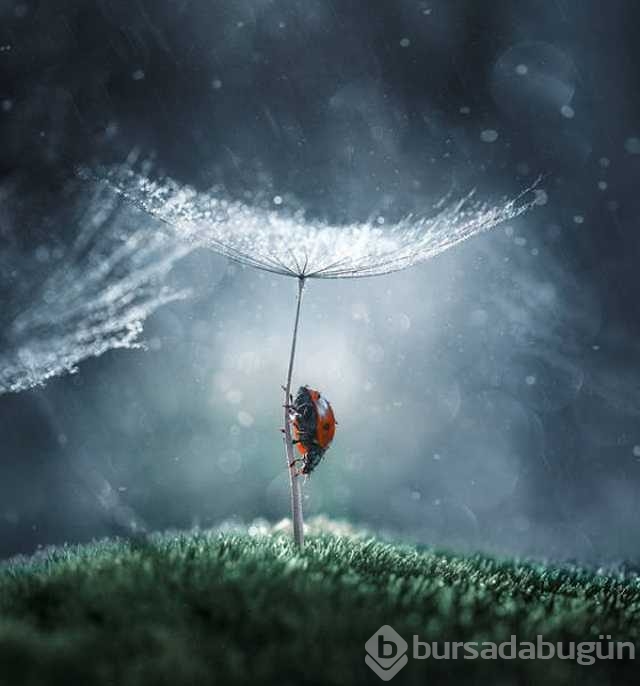 Günün en çok paylaşılan fotoğrafları
