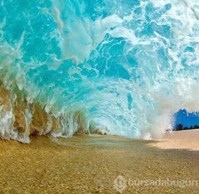 Günün en çok paylaşılan fotoğrafları
