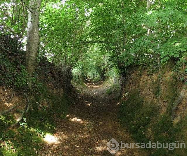 Günün en çok paylaşılan fotoğrafları