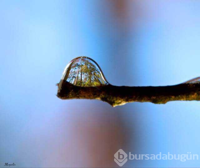 Günün en çok paylaşılan fotoğrafları