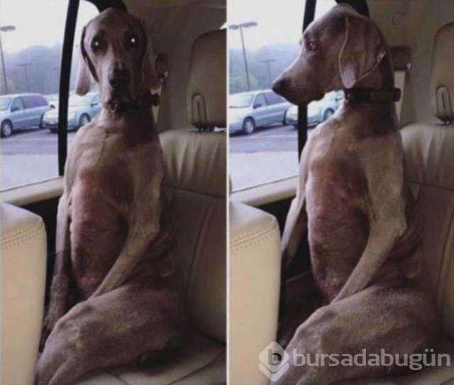 Günün en çok paylaşılan fotoğrafları