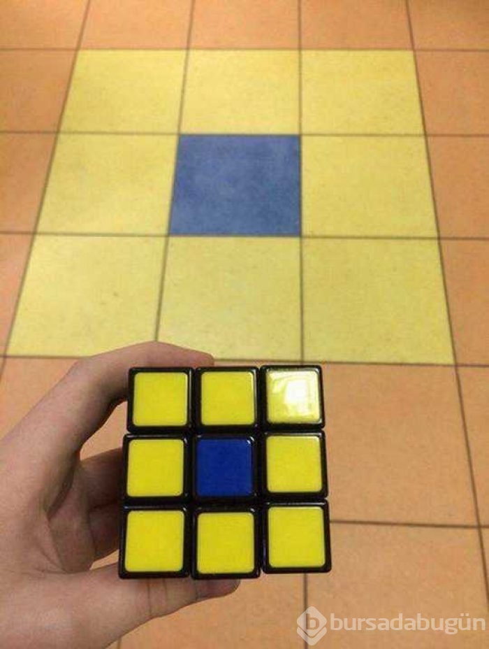 Günün en çok paylaşılan fotoğrafları