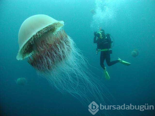 Günün en çok paylaşılan fotoğrafları