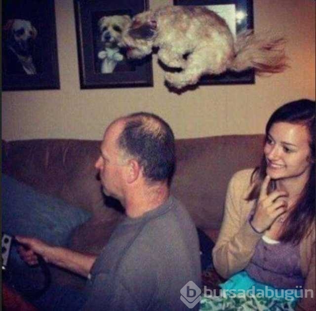 Günün en çok paylaşılan fotoğrafları