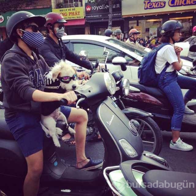 Günün en çok paylaşılan fotoğrafları