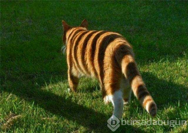 Günün en çok paylaşılan fotoğrafları