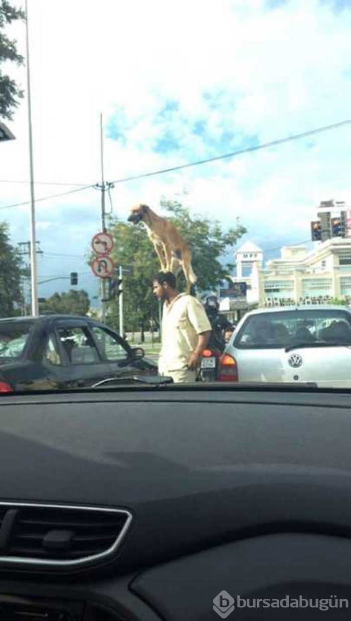 Günün en çok paylaşılan fotoğrafları