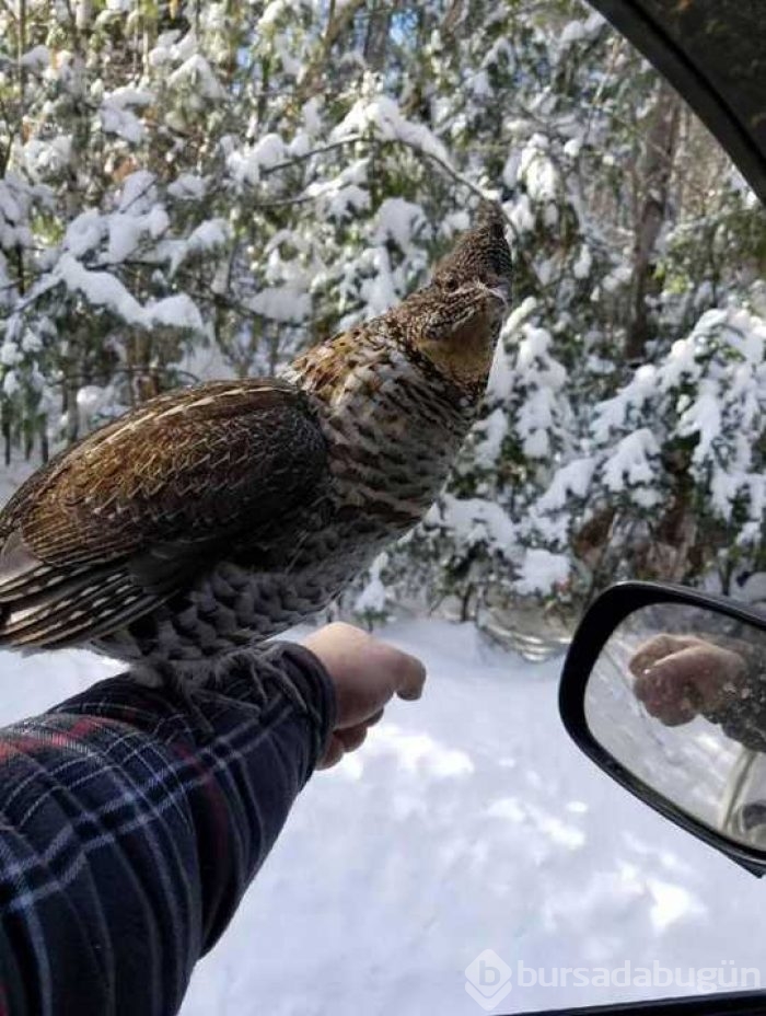 Günün en çok paylaşılan fotoğrafları