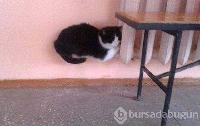 Günün en çok paylaşılan fotoğrafları