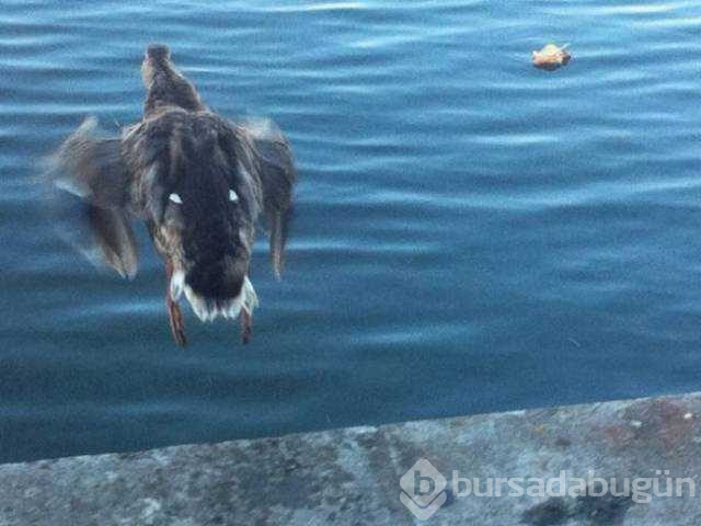 Günün en çok paylaşılan fotoğrafları