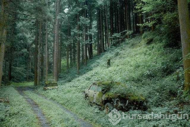 Günün en çok paylaşılan fotoğrafları
