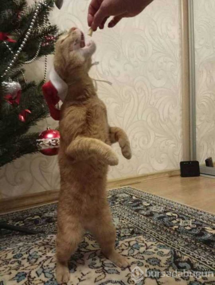 Günün en çok paylaşılan fotoğrafları