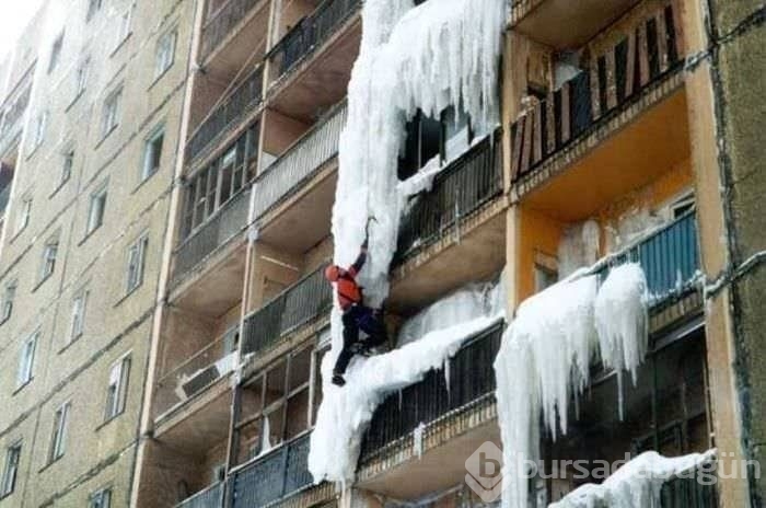 Birbirinden ilginç kareler!