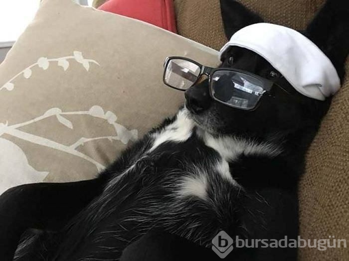 Birbirinden ilginç kareler!