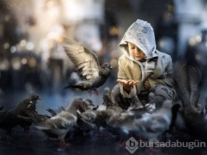 Birbirinden ilginç kareler!
