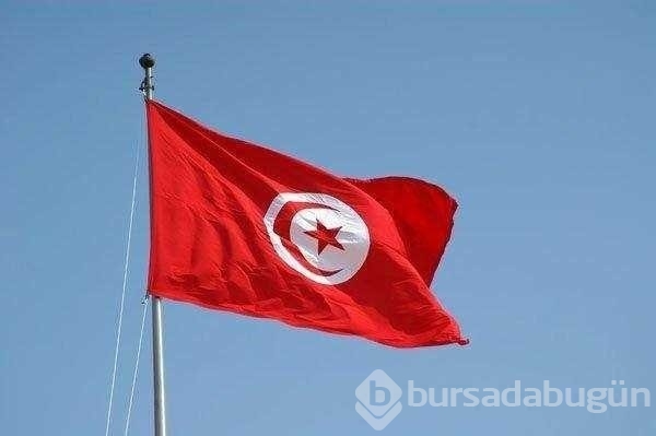 En fazla Türk hangi ülkede yaşıyor?
