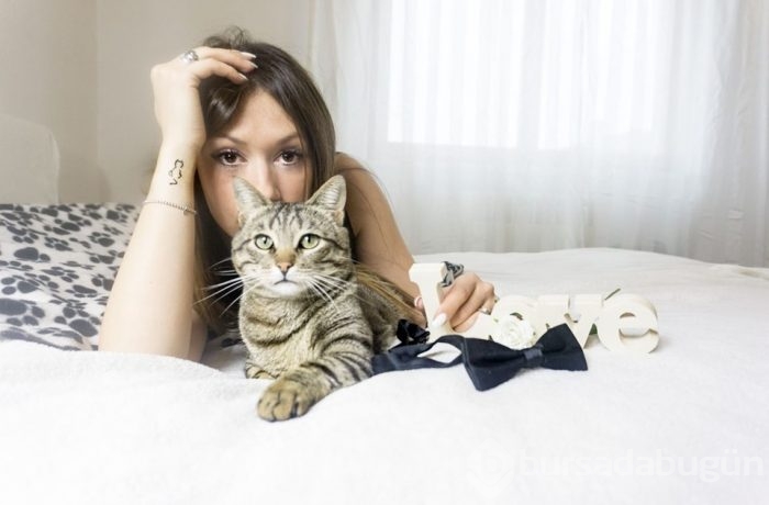Kediler düğün fotoğraflarına girdi
