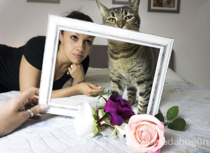 Kediler düğün fotoğraflarına girdi