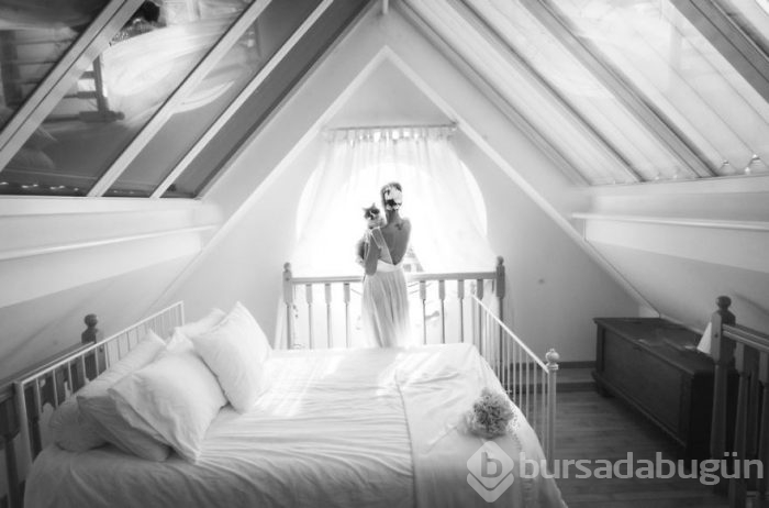 Kediler düğün fotoğraflarına girdi