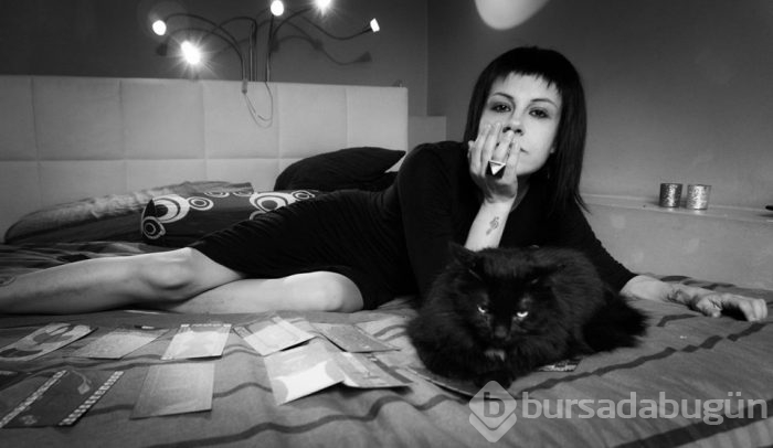 Kediler düğün fotoğraflarına girdi