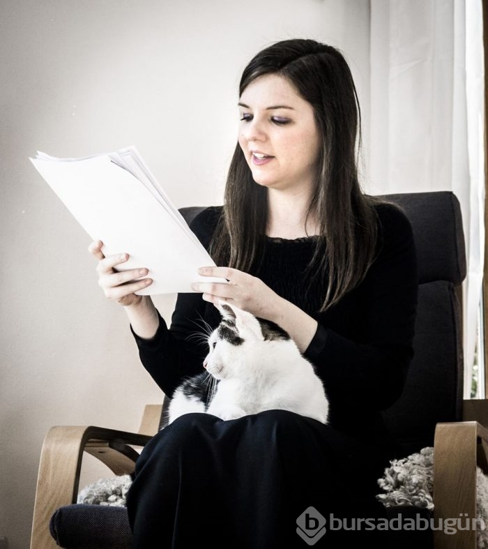 Kediler düğün fotoğraflarına girdi