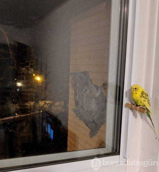 Günün en çok paylaşılan fotoğrafları