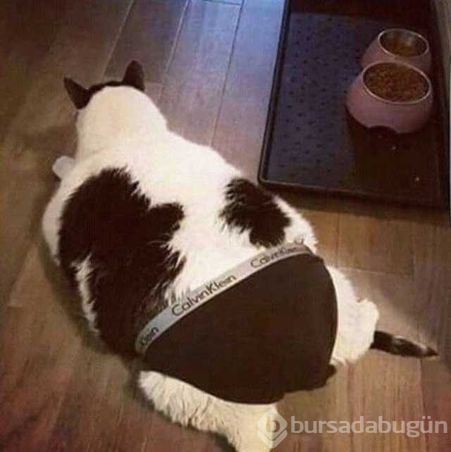 Günün en çok paylaşılan fotoğrafları