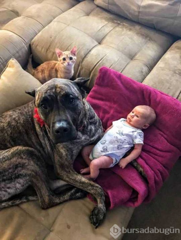 Günün en çok paylaşılan fotoğrafları