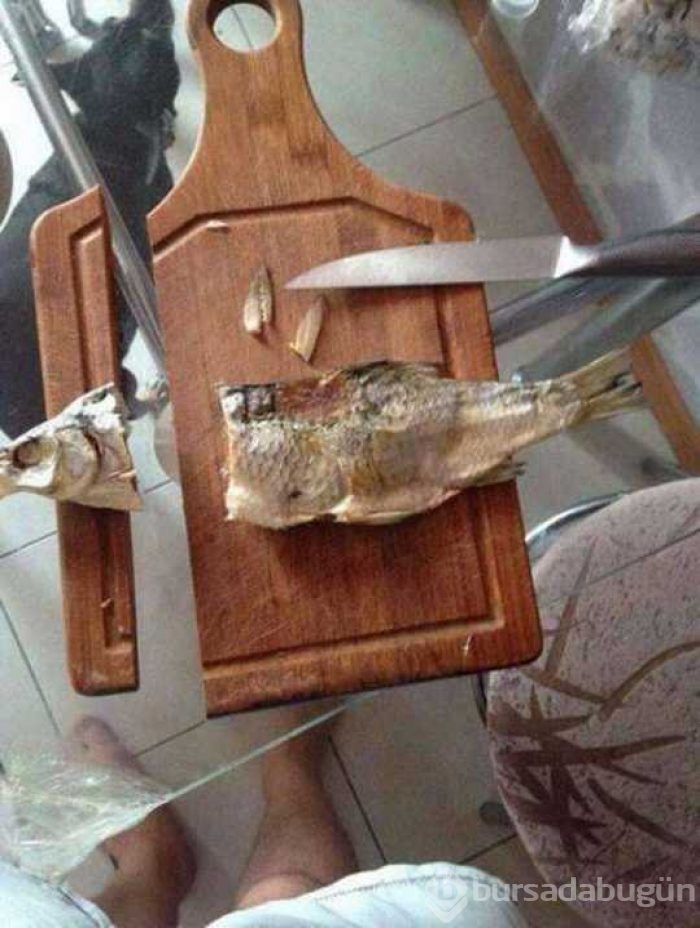 Günün en çok paylaşılan fotoğrafları