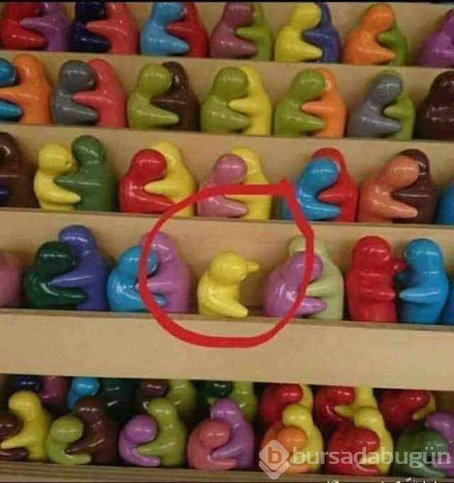 Günün en çok paylaşılan fotoğrafları