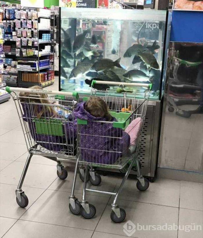 Günün en çok paylaşılan fotoğrafları