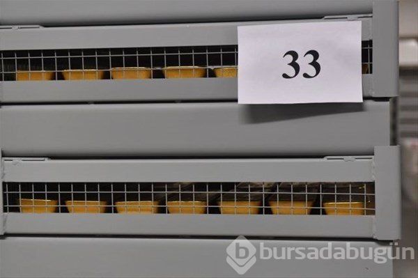 Rusya'da sıradan bir gün
