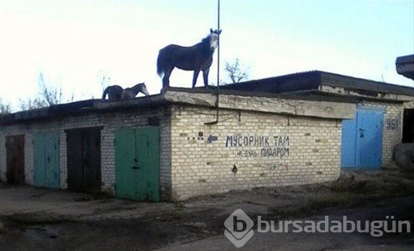 Rusya'da sıradan bir gün