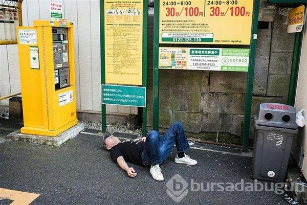 Onlar her yerde uyuyabilir